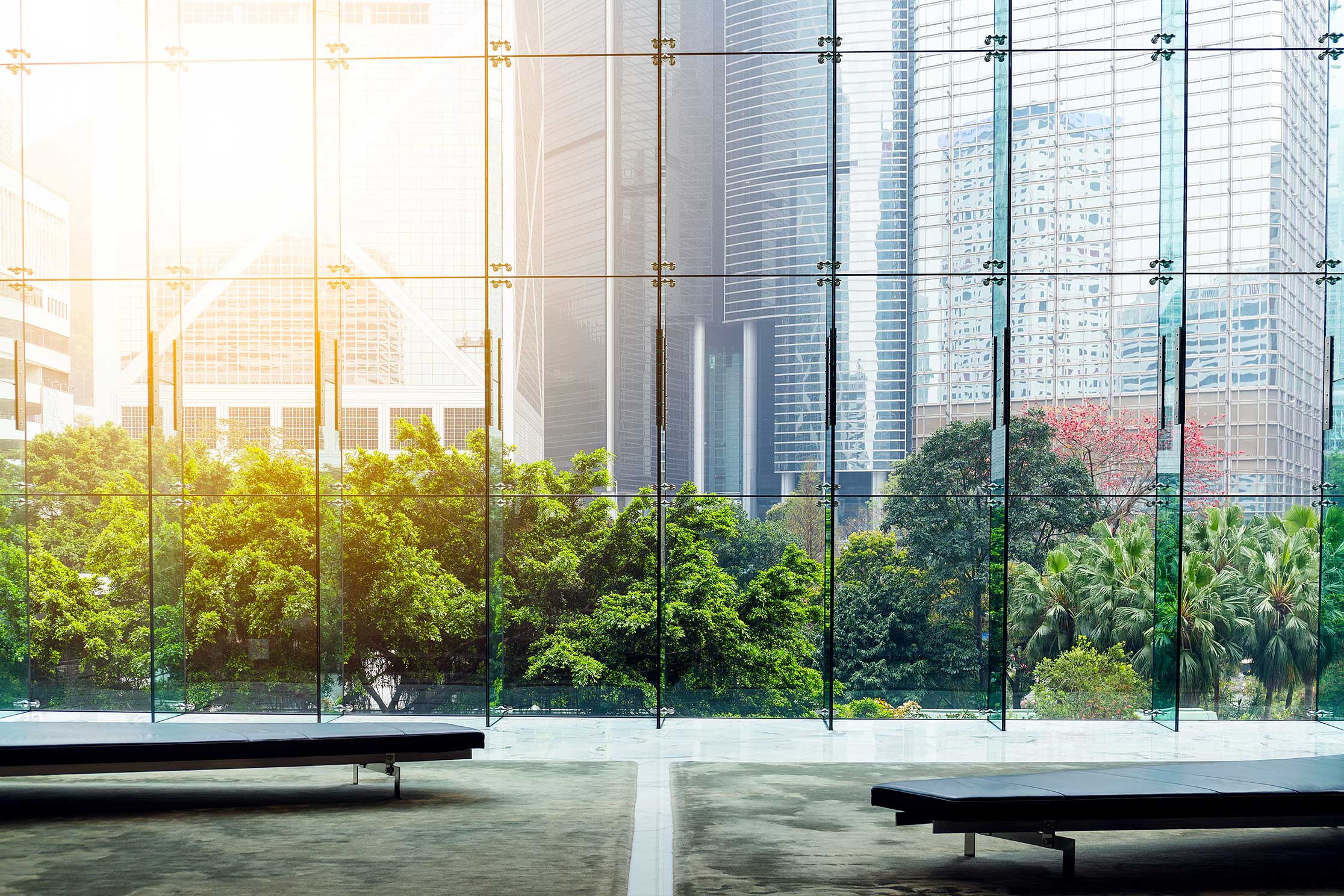 background image of a modern building with glass walls looking out into the street downtown